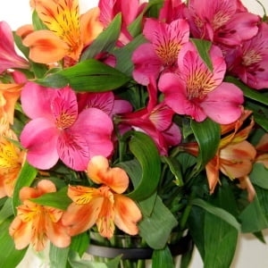 send mixed flower Ukraine 3
