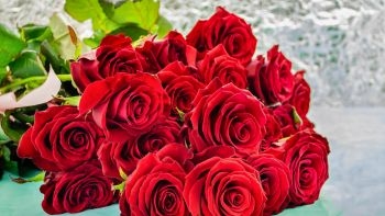 Best Seller Roses Ukraine 2