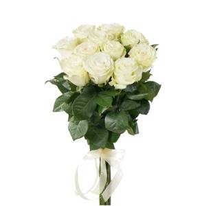 замовити білі троянди 3